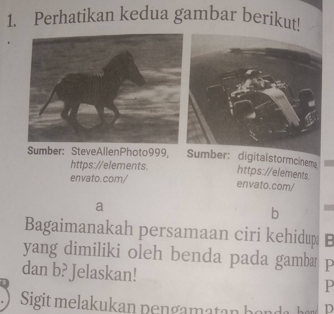 Perhatikan kedua gambar berikut! 
Sumber: SteveAllenPhoto999, Sumber: digitalstormcinema, 
https://elements. 
https://elements. 
envato.com/ 
envato.com/ 
a 
b 
Bagaimanakah persamaan ciri kehidupa B 
yang dimiliki oleh benda pada gambar P 
dan b? Jelaskan! 
P 
Sigit melakukan pengamatan bonda, hond p