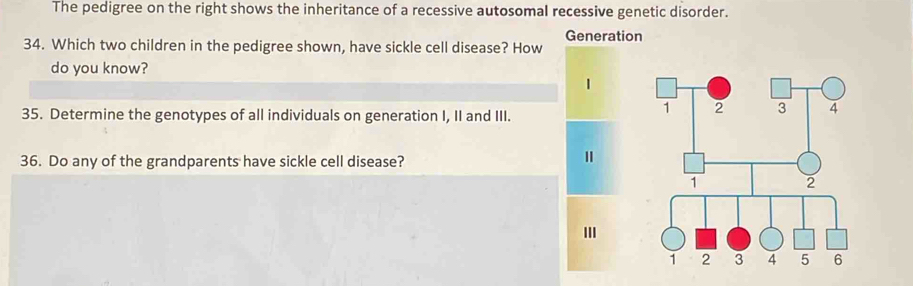 The pedigree on the right shows the inheritance of a recessive autosomal recessive genetic disorder. 
Generation 
34. Which two children in the pedigree shown, have sickle cell disease? How 
do you know? 
35. Determine the genotypes of all individuals on generation I, II and III. 
36. Do any of the grandparents have sickle cell disease?