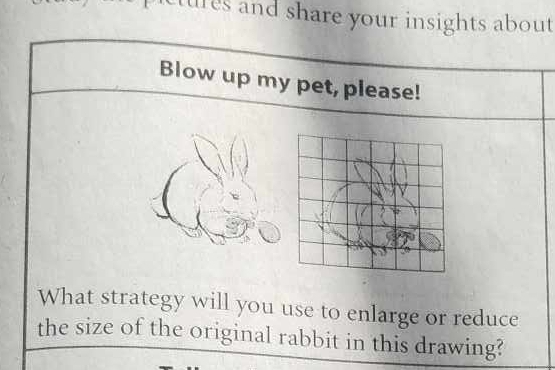 ures and share your insights about 
Blow up my pet, please! 
What strategy will you use to enlarge or reduce 
the size of the original rabbit in this drawing?