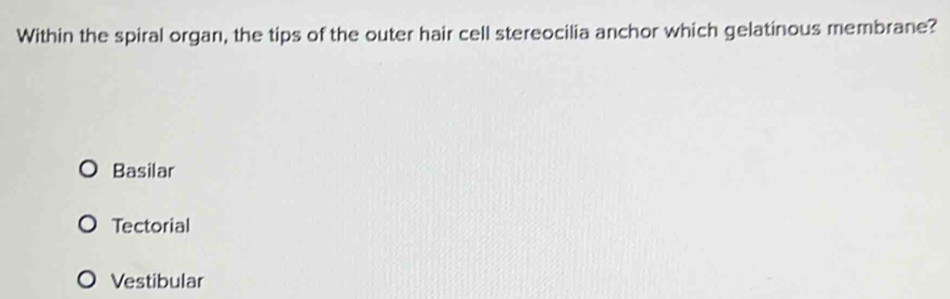 Within the spiral organ, the tips of the outer hair cell stereocilia anchor which gelatinous membrane?
Basilar
Tectorial
Vestibular