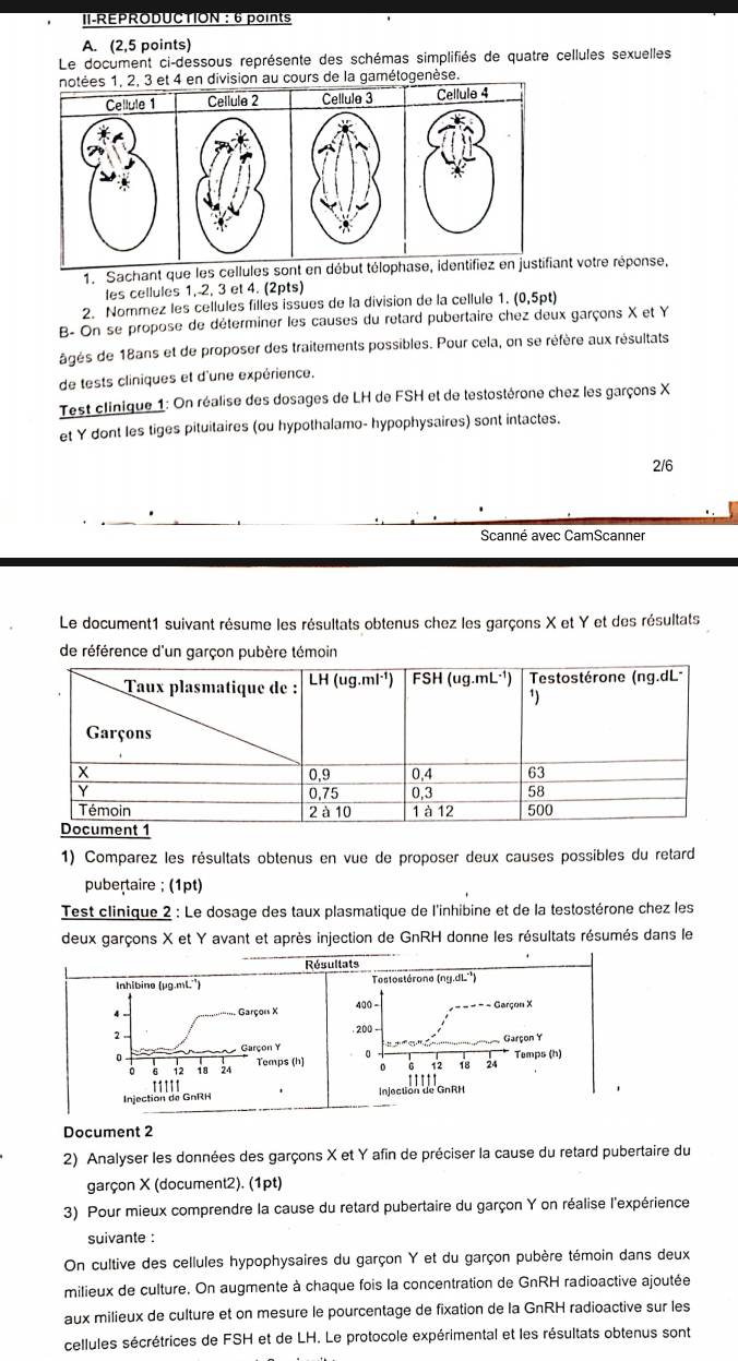 II-REPRODUCTION : 6 points
A. (2,5 points)
Le document ci-dessous représente des schémas simplifiés de quatre cellules sexuelles
3 et 4 en division au cours de la gamétogenèse.
1. Sachant que les cellant votre réponse,
les cellules 1, 2, 3 et 4. (2pts)
2. Nommez les cellules filles issues de la division de la cellule 1. (0,5pt)
B- On se propose de déterminer les causes du retard pubertaire chez deux garçons X et Y
âgés de 18ans et de proposer des traitements possibles. Pour cela, on se réfère aux résultats
de tests cliniques et d'une expérience.
Test clinique 1: On réalise des dosages de LH de FSH et de testostérone chez les garçons X
et Y dont les tiges pituitaires (ou hypothalamo- hypophysaires) sont intactes.
2/6
Scanné avec CamScanner
Le document1 suivant résume les résultats obtenus chez les garçons X et Y et des résultats
de référence d'un garçon pubère témoin
1) Comparez les résultats obtenus en vue de proposer deux causes possibles du retard
pubertaire ; (1pt)
Test clinique 2 : Le dosage des taux plasmatique de l'inhibine et de la testostérone chez les
deux garçons X et Y avant et après injection de GnRH donne les résultats résumés dans le
Document 2
2) Analyser les données des garçons X et Y afin de préciser la cause du retard pubertaire du
garçon X (document2). (1pt)
3) Pour mieux comprendre la cause du retard pubertaire du garçon Y on réalise l'expérience
suivante :
On cultive des cellules hypophysaires du garçon Y et du garçon pubère témoin dans deux
milieux de culture. On augmente à chaque fois la concentration de GnRH radioactive ajoutée
aux milieux de culture et on mesure le pourcentage de fixation de la GnRH radioactive sur les
cellules sécrétrices de FSH et de LH. Le protocole expérimental et les résultats obtenus sont