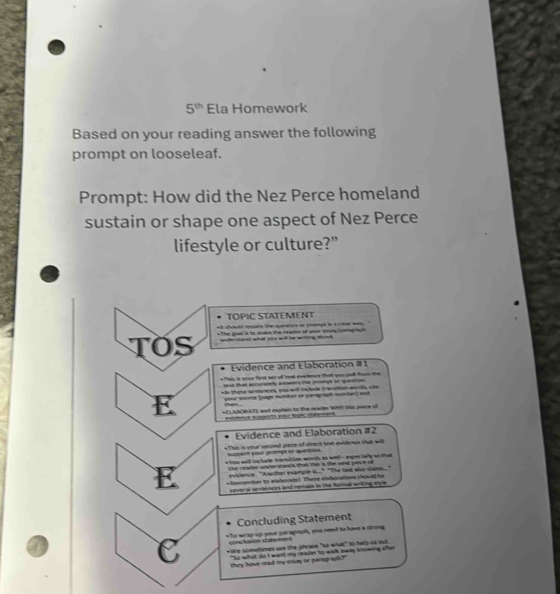 Solved: 5^(th) Ela Homework Based on your reading answer the following ...