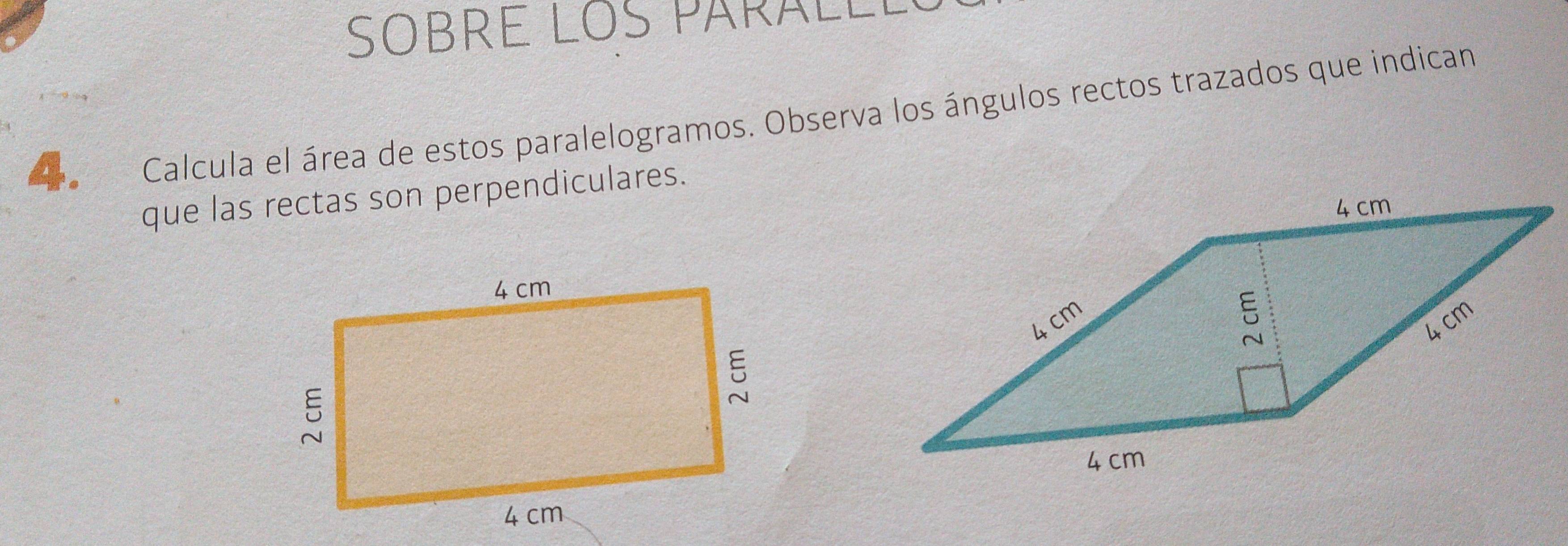 SOBRE LOS Päralll 
Calcula el área de estos paralelogramos. Observa los ángulos rectos trazados que indican 
que las rectas son perpendiculares.