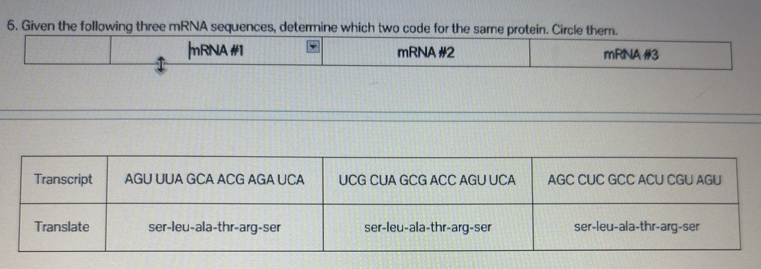Solved: Given the following three mRNA sequences, determine which two ...