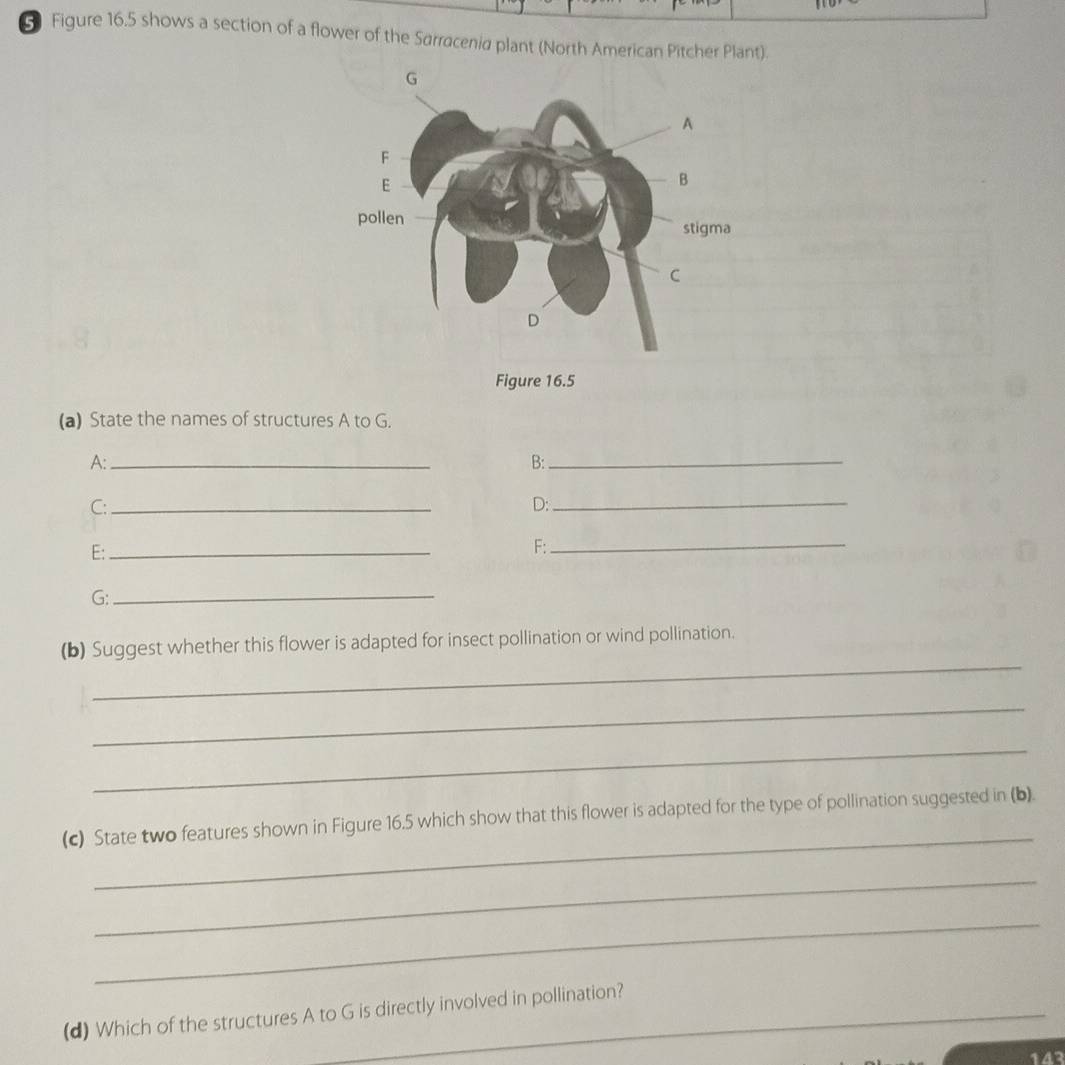 Figure 16.5 shows a section of a flower of the Sarracenia plant (North American Pitcher Plant). 
Figure 16.5 
(a) State the names of structures A to G. 
A:_ 
B:_ 
C:_ 
D:_ 
E:_ 
_ 
F: 
G:_ 
_ 
(b) Suggest whether this flower is adapted for insect pollination or wind pollination. 
_ 
_ 
_ 
(c) State two features shown in Figure 16.5 which show that this flower is adapted for the type of pollination suggested in (b). 
_ 
_ 
(d) Which of the structures A to G is directly involved in pollination?