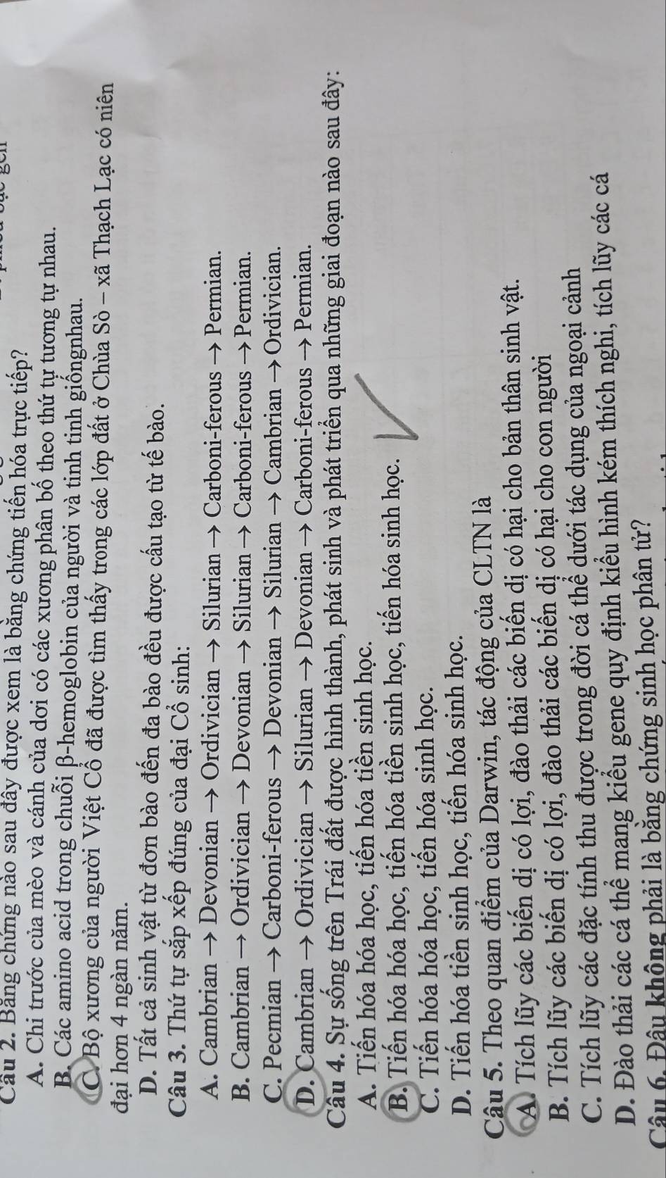 Cầu 2. Băng chứng nào sau đây được xem là bằng chứng tiến hóa trực tiếp?
A. Chi trước của mèo và cánh của dơi có các xương phân bố theo thứ tự tương tự nhau.
B. Các amino acid trong chuỗi β-hemoglobin của người và tinh tinh giốngnhau.
C Bộ xương của người Việt Cổ đã được tìm thấy trong các lớp đất ở Chùa Sò - xã Thạch Lạc có niên
đại hơn 4 ngàn năm.
D. Tất cả sinh vật từ đơn bào đến đa bào đều được cấu tạo từ tế bào.
Câu 3. Thứ tự sắp xếp đúng của đại Cổ sinh:
A. Cambrian → Devonian → Ordivician → Silurian → Carboni-ferous → Permian.
B. Cambrian → Ordivician → Devonian → Silurian → Carboni-ferous →Permian.
C. Pecmian → Carboni-ferous → Devonian → Silurian → Cambrian → Ordivician.
D. Cambrian → Ordivician → Silurian → Devonian → Carboni-ferous → Permian.
Câu 4. Sự sống trên Trái đất được hình thành, phát sinh và phát triển qua những giai đoạn nào sau đây:
A. Tiến hóa hóa học, tiến hóa tiền sinh học.
B. Tiến hóa hóa học, tiến hóa tiền sinh học, tiến hóa sinh học.
C. Tiến hóa hóa học, tiến hóa sinh học.
D. Tiến hóa tiền sinh học, tiến hóa sinh học.
Câu 5. Theo quan điểm của Darwin, tác động của CLTN là
A Tích lũy các biến dị có lợi, đào thải các biến dị có hại cho bản thân sinh vật.
B. Tích lũy các biến dị có lợi, đào thải các biển dị có hại cho con người
C. Tích lũy các đặc tính thu được trong đời cá thể dưới tác dụng của ngoại cảnh
D. Đào thải các cá thể mang kiểu gene quy định kiểu hình kém thích nghi, tích lũy các cá
Câu 6. Đâu không phải là bằng chứng sinh học phân tử?