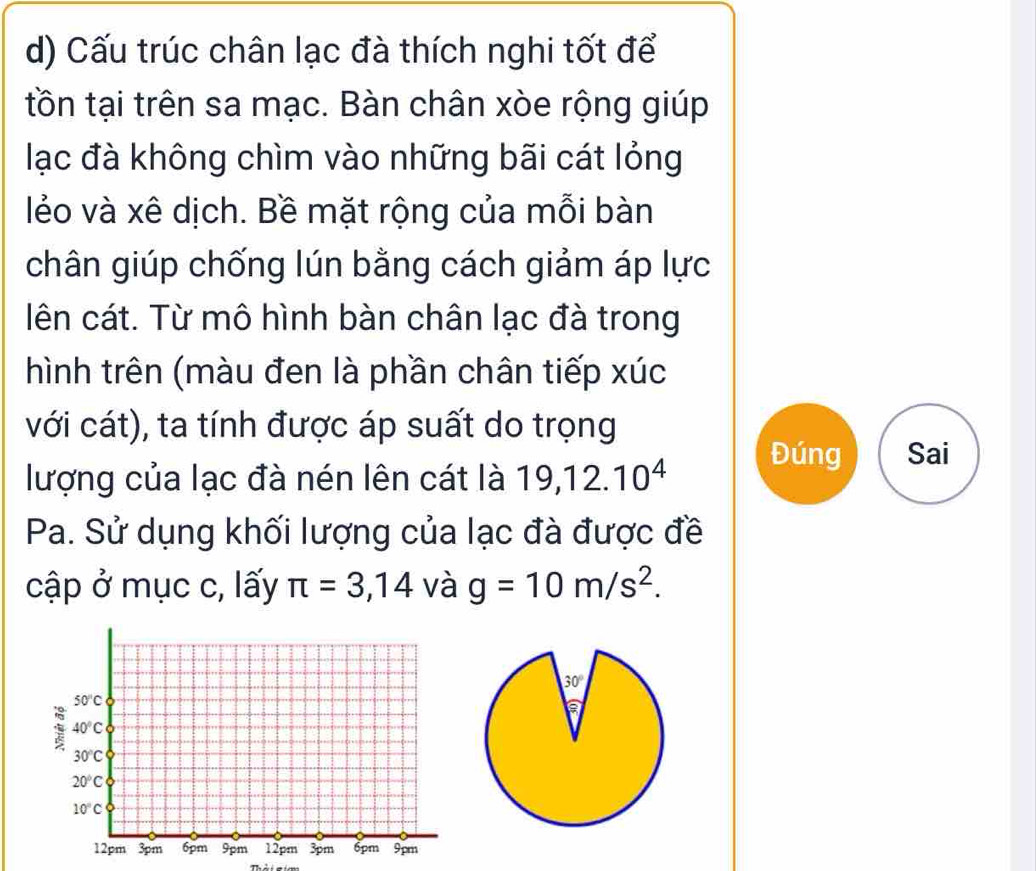 Cấu trúc chân lạc đà thích nghi tốt để
tồn tại trên sa mạc. Bàn chân xòe rộng giúp
lạc đà không chìm vào những bãi cát lỏng
lẻo và xê dịch. Bề mặt rộng của mỗi bàn
chân giúp chống lún bằng cách giảm áp lực
lên cát. Từ mô hình bàn chân lạc đà trong
hình trên (màu đen là phần chân tiếp xúc
với cát), ta tính được áp suất do trọng
Đúng Sai
lượng của lạc đà nén lên cát là 19,12.10^4
Pa. Sử dụng khối lượng của lạc đà được đề
cập ở mục c, lấy π =3,14 và g=10m/s^2.
Thải sim