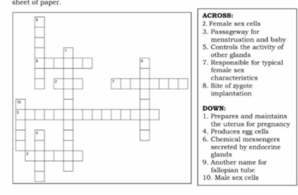sheet of paper. 
CROSS: 
Female sex cells 
Passageway for 
menstruation and baby 
Controls the activity of 
other glands 
Responsible for typical 
female sex 
characteristics 
Site of zygote 
implantation 
OWN: 
Prepares and maintains 
the uterus for pregnancy 
Produces egg cells 
Chemical messengers 
secreted by endocrine 
glands 
Another name for 
fallopian tube 
. Male sex cells