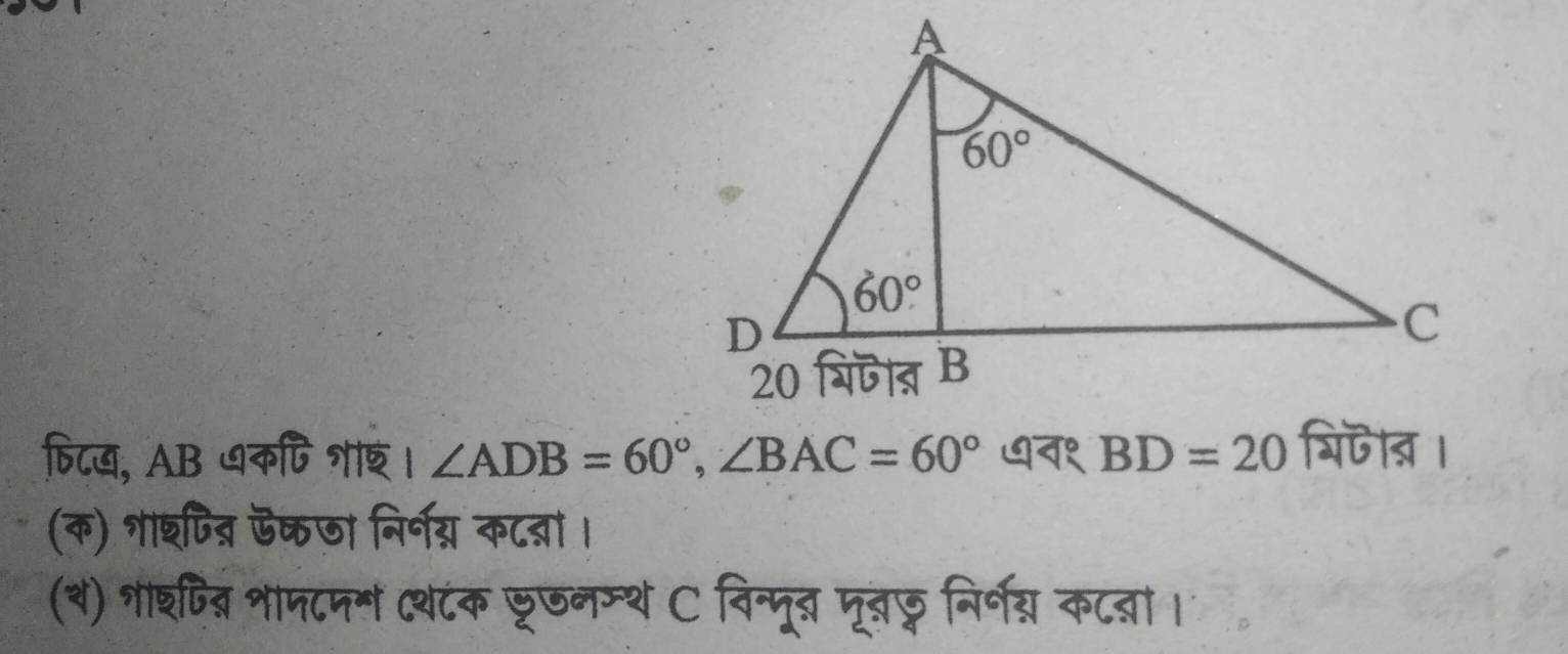 फिय, AB धकषि शाष। ∠ ADB=60°,∠ BAC=60° ७व१ BD=20
(क) शाशपत् ऊकजा निर्गग्र कटन्नां।
(र) शशणिन्न शाप८पम (थ८ंक डू७नम्थ C विन्पूद मूबज़ निर्नय् कटन्ना।