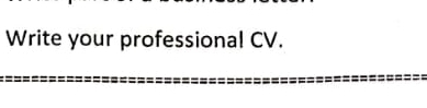 Write your professional CV.