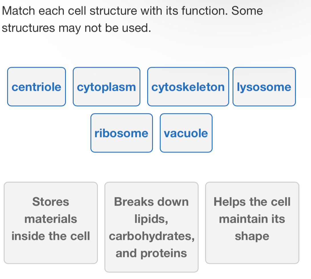 Match each cell structure with its function. Some
structures may not be used.
centriole cytoplasm cytoskeleton lysosome
ribosome vacuole
Stores Breaks down Helps the cell
materials lipids, maintain its
inside the cell carbohydrates, shape
and proteins