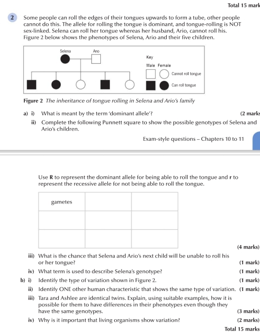Total 15 mark 
2 Some people can roll the edges of their tongues upwards to form a tube, other people 
cannot do this. The allele for rolling the tongue is dominant, and tongue-rolling is NOT 
sex-linked. Selena can roll her tongue whereas her husband, Ario, cannot roll his. 
Figure 2 below shows the phenotypes of Selena, Ario and their five children. 
Figure 2 The inheritance of tongue rolling in Selena and Ario's family 
a) i) What is meant by the term ‘dominant allele’? (2 mark 
ii) Complete the following Punnett square to show the possible genotypes of Selena and 
Ario's children. 
Exam-style questions - Chapters 10 to 11
Use R to represent the dominant allele for being able to roll the tongue and r to 
represent the recessive allele for not being able to roll the tongue. 
(4 marks) 
iii) What is the chance that Selena and Ario's next child will be unable to roll his 
or her tongue? (1 mark) 
iv) What term is used to describe Selena's genotype? (1 mark) 
b) i) Identify the type of variation shown in Figure 2. (1 mark) 
ii) Identify ONE other human characteristic that shows the same type of variation. (1 mark) 
iii) Tara and Ashlee are identical twins. Explain, using suitable examples, how it is 
possible for them to have differences in their phenotypes even though they 
have the same genotypes. (3 marks) 
iv) Why is it important that living organisms show variation? (2 marks) 
Total 15 marks