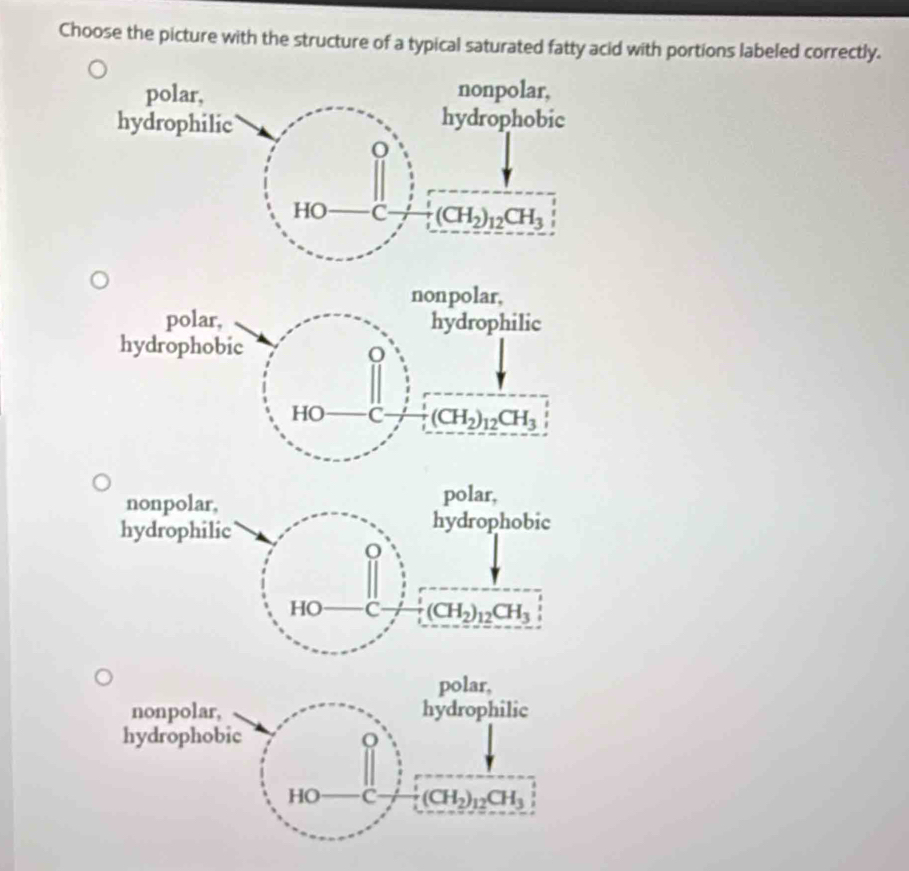 Choose the picture with the structure of a typical saturated fatty acid with portions labeled correctly.