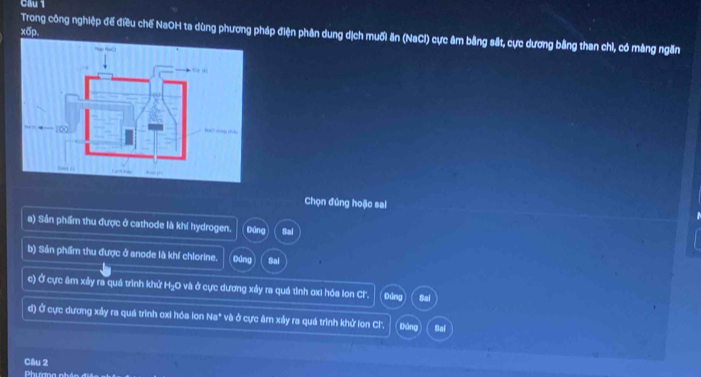 Chu 1 
xốp. 
Trong công nghiệp đế điều chế NaOH ta dùng phương pháp điện phân dung dịch muối ăn (NaCl) cực âm bằng sắt, cực dương bằng than chỉ, có màng ngăn 
Chọn đủng hoặc sai 
a) Sản phẩm thu được ở cathode là khí hydrogen. Đứng Sal 
b) Sản phẩm thu được ở anode là khí chlorine. Đúng Sal 
c) Ở cực âm xây ra quá trình khử H₂O và ở cực dương xảy ra quá tình oxi hóa lon C. Đúng 8a
đ) Ở cực dương xây ra quá trình oxi hóa lon Na^+ và ở cực âm xảy ra quá trình khử lon Cl'' Dảng Sai 
Câu 2 
Phướn
