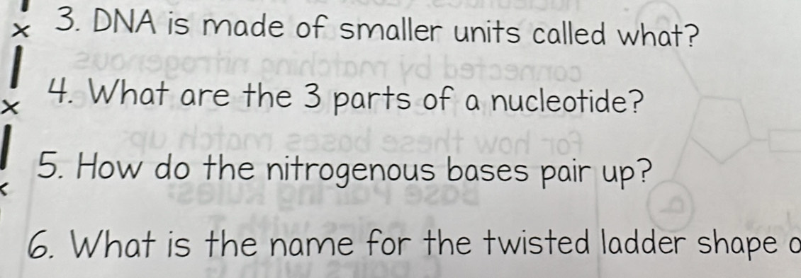 DNA is made of smaller units called what? 
X 4. What are the 3 parts of a nucleotide? 
5. How do the nitrogenous bases pair up? 
6. What is the name for the twisted ladder shape o