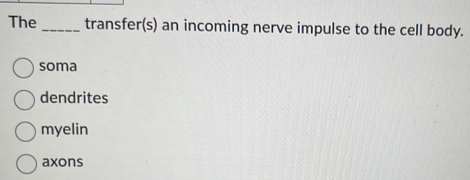 The _transfer(s) an incoming nerve impulse to the cell body.
soma
dendrites
myelin
axons