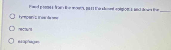 Food passes from the mouth, past the closed epiglottis and down the_
tympanic membrane
rectum
esophagus