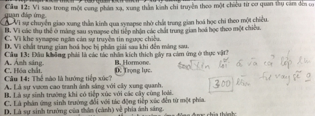 bão quan kic n
Câu 12: Vì sao trong một cung phản xạ, xung thần kinh chi truyền theo một chiều từ cơ quan thụ cám dến cơ
quan đáp ứng.
Á Vì sự chuyển giao xung thần kinh qua synapse nhờ chất trung gian hoá học chi theo một chiều.
B. Vì các thụ thể ở màng sau synapse chỉ tiếp nhận các chất trung gian hoá học theo một chiều.
C. Vì khe synapse ngăn cản sự truyền tin ngược chiều.
D. Vì chất trung gian hoá học bị phân giải sau khi đến màng sau.
Câu 13: Đâu không phải là các tác nhân kích thích gây ra cảm ứng ở thực vật?
A. Ánh sáng. B. Hormone.
C. Hóa chất. D. Trọng lực.
Câu 14: Thế nào là hướng tiếp xúc?
A. Là sự vươn cao tranh ánh sáng với cây xung quanh.
B. Là sự sinh trưởng khi có tiếp xúc với các cây cùng loài.
C. Là phản ứng sinh trưởng đối với tác động tiếp xúc đến từ một phía.
D. Là sự sinh trưởng của thân (cành) về phía ánh sáng.
ông được chia thành: