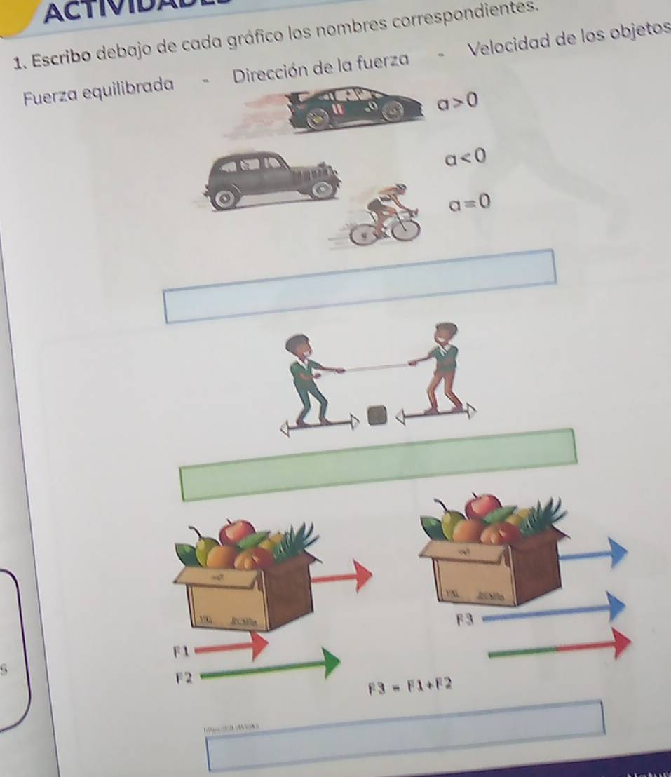 ACTIVIDAL 
1. Escribo debajo de cada gráfico los nombres correspondientes. Velocidad de los objetos 
Fuerza equilibrada - Dirección de la fuerza
-0 a>0
a<0</tex>
a=0
F 3. .
F3-F1+F2
8 2