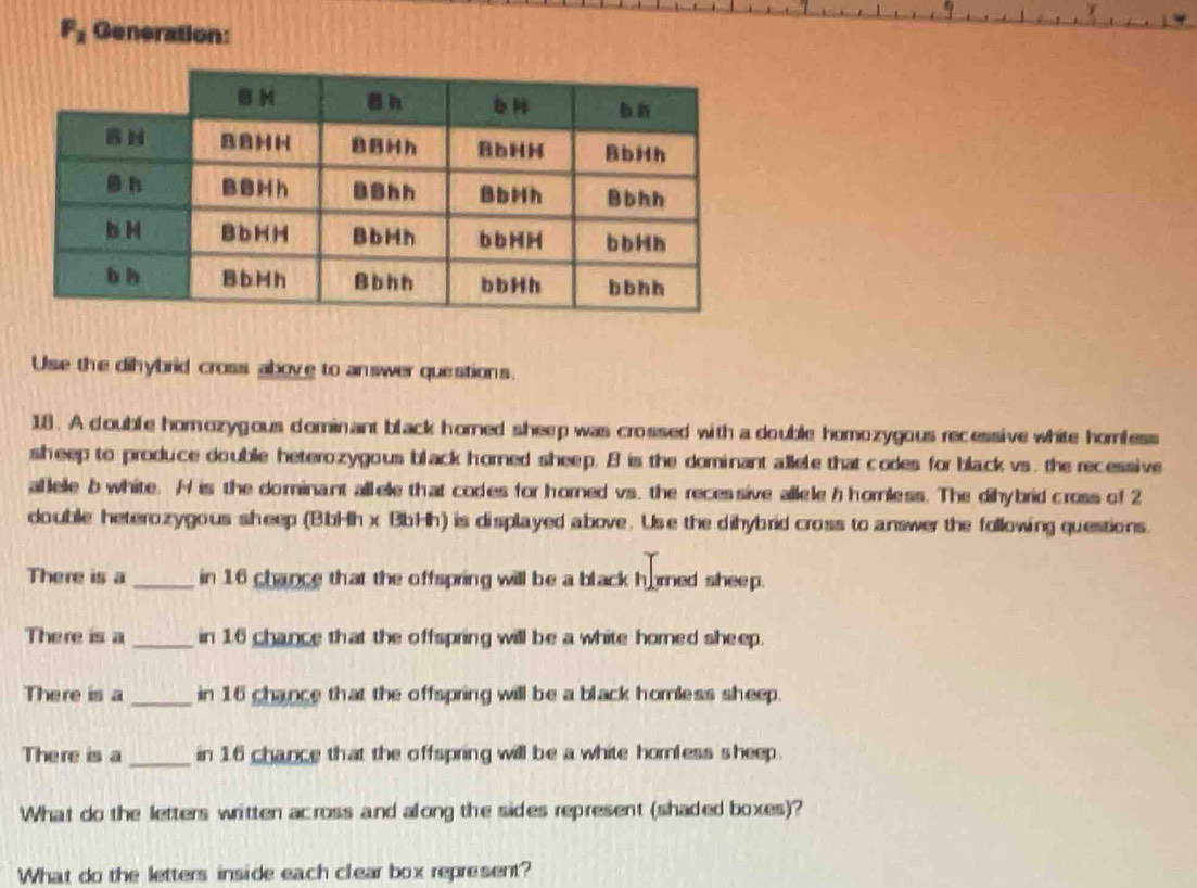 F_2 Generation: 
Use the dihybrid cross above to answer questions. 
18. A double homozygous dominant black homed sheep was crossed with a double homozygous recessive white homless 
sheep to produce double heterozygous black horned sheep. 8 is the dominant allele that codes for black vs. the recessive 
allele b white. H is the dominant allele that codes for horned vs, the reces sive allele h hornless. The dihybrid cross of 2
double heterozygous sheep (BbHh x BbHh) is displayed above. Use the dihybrid cross to answer the following questions. 
There is a _in 16 chance that the offspring will be a black humed sheep. 
There is a _in 16 chance that the offspring will be a white horned sheep. 
There is a_ in 16 chance that the offspring will be a black homless sheep. 
There is a _in 16 chance that the offspring will be a white horless sheep. 
What do the letters written across and along the sides represent (shaded boxes)? 
What do the letters inside each clear box represent?