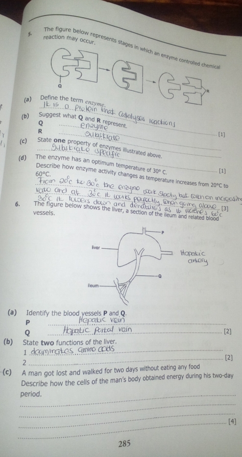 reaction may oc
The figure below represents 
_ 
(a) 
_ 
(b) Suggest what Q and R represent
Q
R
_[1] 
(c) State one property of enzymes illustrated above 
(d) The enzyme has an optimum temperature of 30°C.
60°C. 
[1] 
_ 
Describe how enzyme activity changes as temperature increases from 20°C to 
_ 
_ 
6. The figure below shows the liver, a section of the ileum and related blood 
vessels. 
(a) Identify the blood yessels P and Q.
P
_
Q _[2] 
(b) State two functions of the liver. 
_ 
1 
_[2] 
2 
(c) A man got lost and walked for two days without eating any food 
Describe how the cells of the man’s body obtained energy during his two-day
_period. 
_ 
_ 
_4] 
285