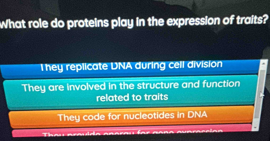 What role do proteins play in the expression of traits?
They replicate DNA during cell division
They are involved in the structure and function
related to traits
They code for nucleotides in DNA