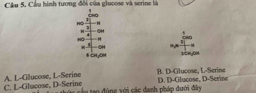 Cầu hình tương đồi của glucose và serine là
1
CHO
2
HO H
3
H OH
4
1
HO H CHO
2
5
H OH H_2N H
6CH_2OH
3CH_2OH
A. L-Glucose, L-Serine B. D-Glucose, L-Serine
C. L-Glucose, D-Serine D. D-Glucose, D-Serine
c cầu tạo đúng với các danh pháp dưới đây