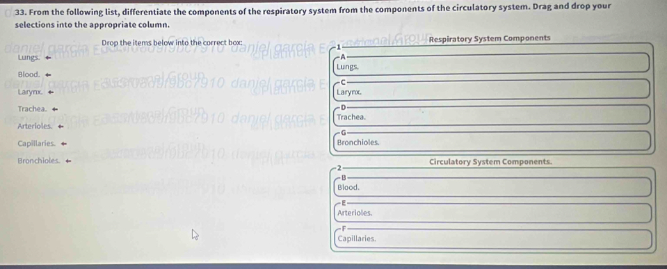 From the following list, differentiate the components of the respiratory system from the components of the circulatory system. Drag and drop your
selections into the appropriate column.
Drop the items below into the correct box: Respiratory System Components
1
Lungs.
Blood. Lungs,
Larynx. Larynx.
Trachea.
Trachea.
Arterioles.
G
Capillaries. Bronchioles.
Bronchioles. Circulatory System Components.
2
Blood.

Arterioles.
Capillaries.