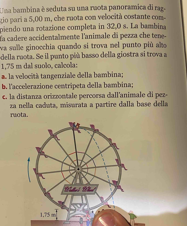 Una bambina è seduta su una ruota panoramica di rag- 
gio pari a 5,00 m, che ruota con velocità costante com- 
piendo una rotazione completa in 32,0 s. La bambina 
fa cadere accidentalmente l’animale di pezza che tene- 
va sulle ginocchia quando si trova nel punto più alto 
della ruota. Se il punto più basso della giostra si trova a
1,75 m dal suolo, calcola: 
a. la velocità tangenziale della bambina; 
b. l’accelerazione centripeta della bambina; 
c. la distanza orizzontale percorsa dall’animale di pez- 
za nella caduta, misurata a partire dalla base della 
ruota.