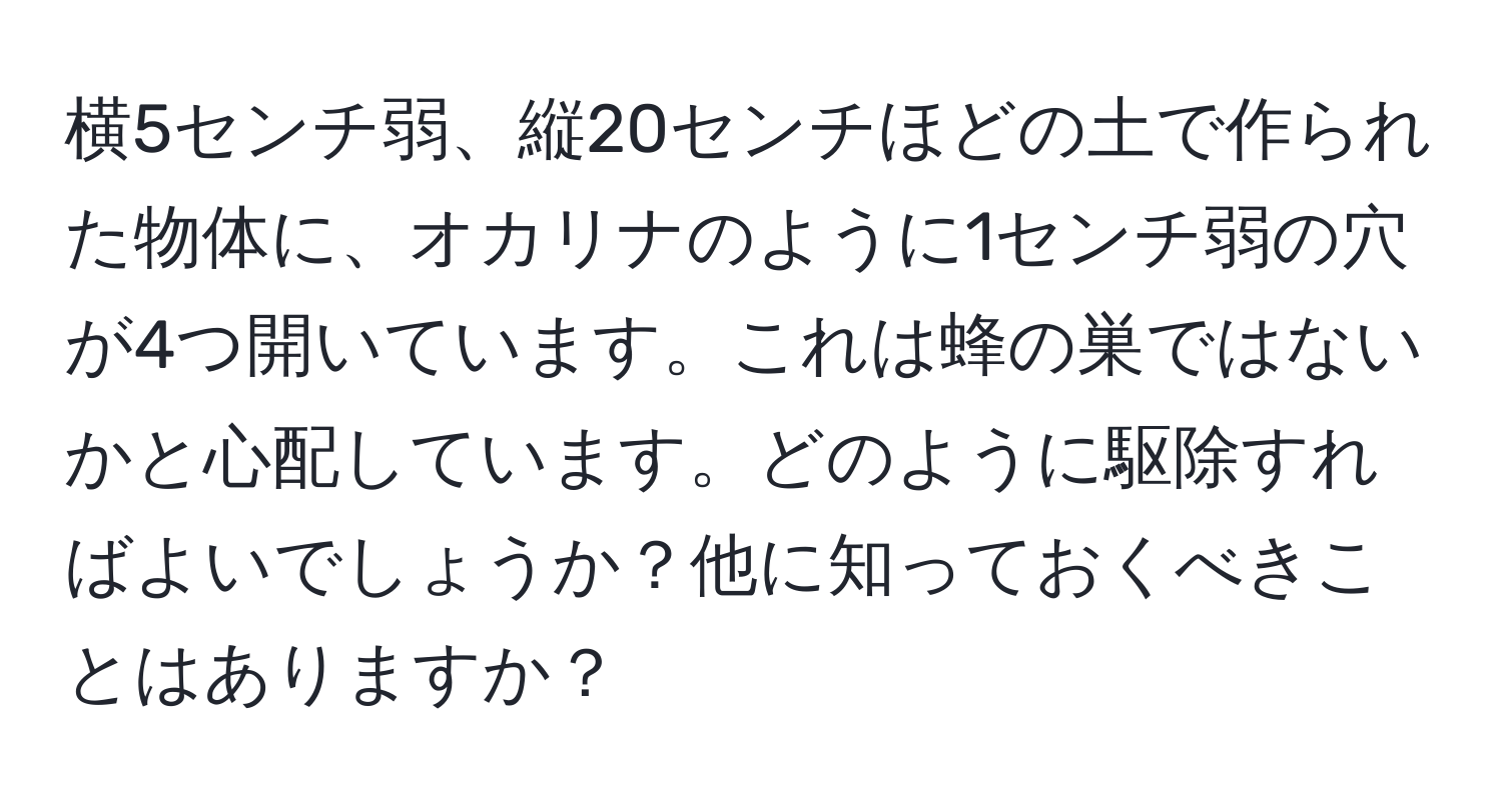 横5センチ弱、縦20センチほどの土で作られた物体に、オカリナのように1センチ弱の穴が4つ開いています。これは蜂の巣ではないかと心配しています。どのように駆除すればよいでしょうか？他に知っておくべきことはありますか？