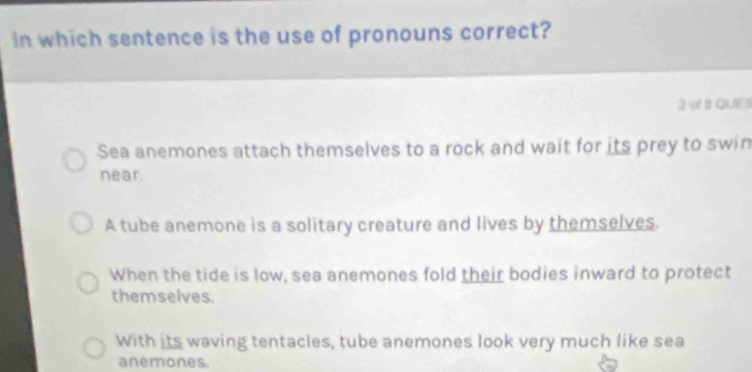 In which sentence is the use of pronouns correct?
2 of 8 QUE S
Sea anemones attach themselves to a rock and wait for its prey to swin
near.
A tube anemone is a solitary creature and lives by themselves.
When the tide is low, sea anemones fold their bodies inward to protect
themselves.
With its waving tentacles, tube anemones look very much like sea
anemones.