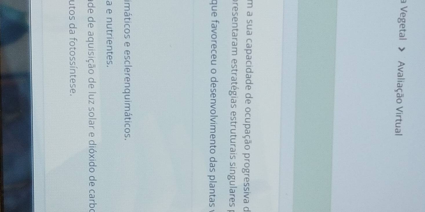 a Vegetal > Avaliação Virtual 
Em a sua capacidade de ocupação progressiva de 
presentaram estratégias estruturais singulares p 
que favoreceu o desenvolvimento das plantas y 
imáticos e esclerenquimáticos. 
a e nutrientes. 
ade de aquisição de luz solar e dióxido de carbo 
utos da fotossíntese.