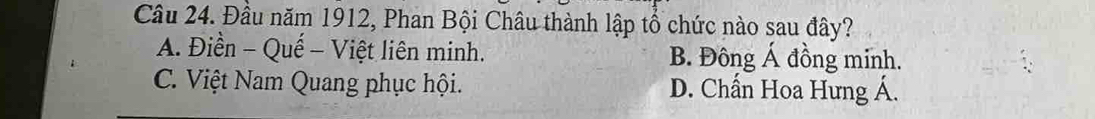 Đầu năm 1912, Phan Bội Châu thành lập tổ chức nào sau đây?
A. Điền - Quế - Việt liên minh. B. Đông Á đồng minh.
C. Việt Nam Quang phục hội. D. Chấn Hoa Hưng Á.