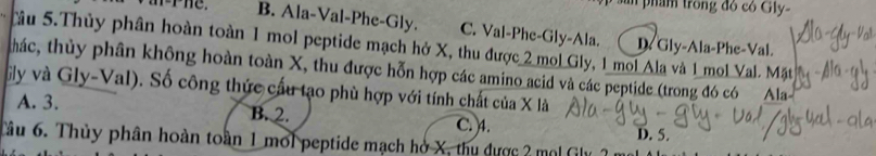 an phẩm trong đó có Gly-
B. Ala-Val-Phe-Gly. C. Val-Phe-Gly-Ala. D Gly-Ala-Phe-Val.
Sâu 5.Thủy phân hoàn toàn 1 mol peptide mạch hở X, thu được 2 mol Gly, 1 mol Ala và 1 mol Val. Mặt
thác, thủy phân không hoàn toàn X, thu được hỗn hợp các amino acid và các peptide (trong đó có Ala-
Sly và Gly-Val). Số công thức cầu tạo phù hợp với tính chất của X là
A. 3. B. 2. C. 4.
D. 5.
Tâu 6. Thủy phân hoàn toàn 1 mol peptide mạch hở X, thu dược 2 mol Gly