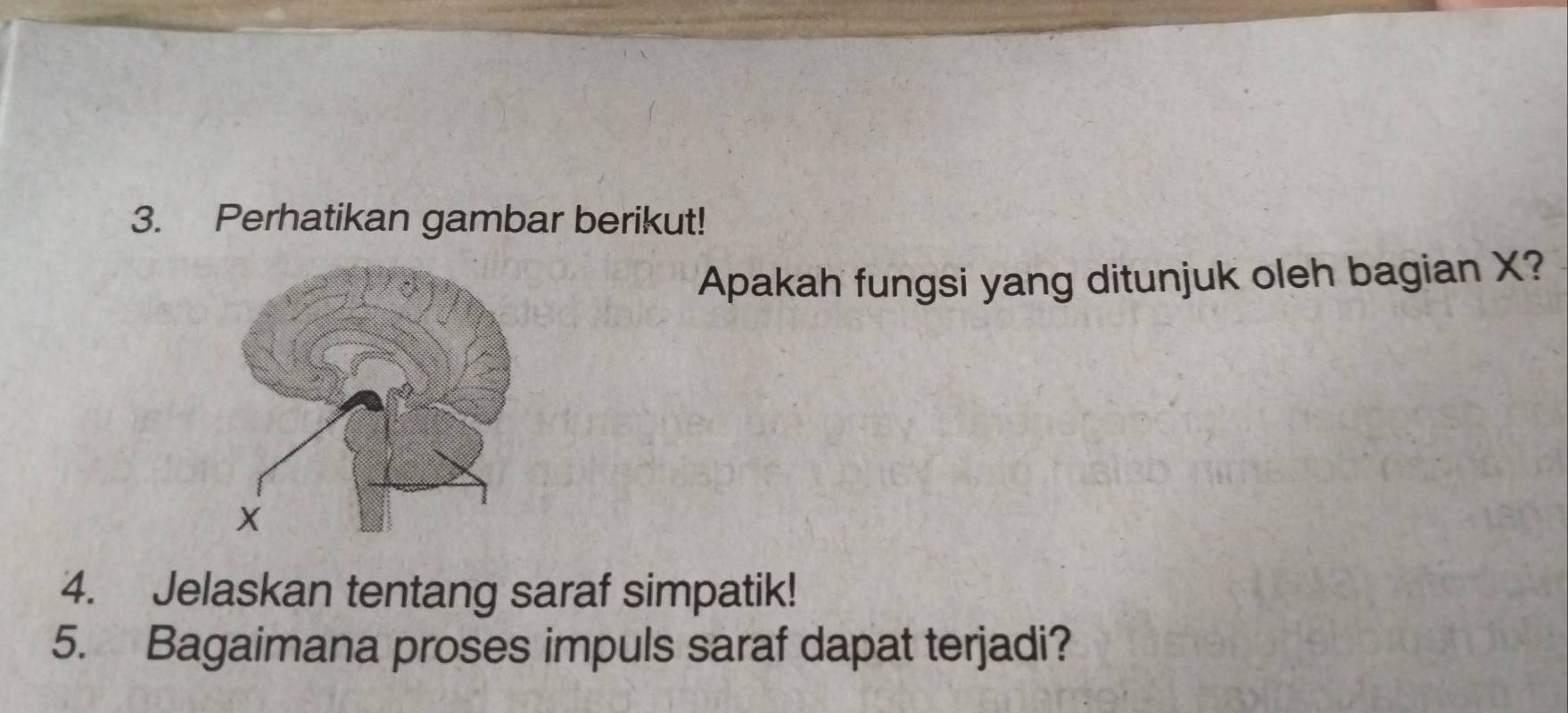 Perhatikan gambar berikut! 
Apakah fungsi yang ditunjuk oleh bagian X? 
4. Jelaskan tentang saraf simpatik! 
5. Bagaimana proses impuls saraf dapat terjadi?