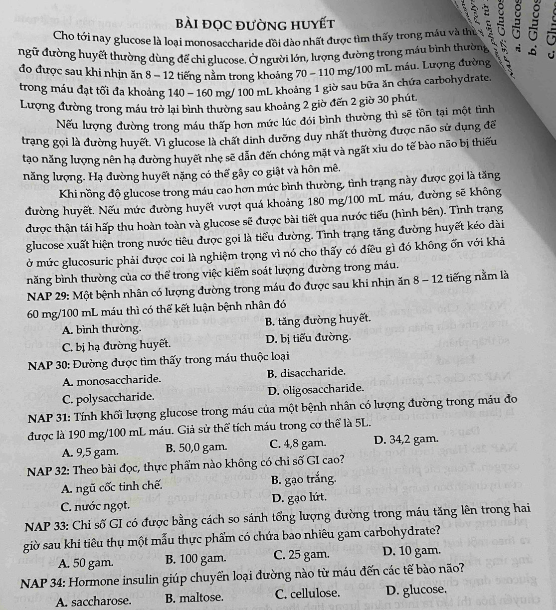 Bài đọC đườnG huyết
Cho tới nay glucose là loại monosaccharide đồi dào nhất được tìm thấy trong máu và thủ y   E   
ngữ đường huyết thường dùng để chi glucose. Ở người lớn, lượng đường trong máu bình thường
đo được sau khi nhịn ăn 8 - 12 tiếng nằm trong khoảng 70 - 110 mg/100 mL máu. Lượng đường
trong máu đạt tối đa khoảng 140 - 160 mg/ 100 mL khoảng 1 giờ sau bữa ăn chứa carbohydrate.
Lượng đường trong máu trở lại bình thường sau khoảng 2 giờ đến 2 giờ 30 phút.
Nếu lượng đường trong máu thấp hơn mức lúc đói bình thường thì sẽ tồn tại một tình
trạng gọi là đường huyết. Vì glucose là chất dinh dưỡng duy nhất thường được não sử dụng để
tạo năng lượng nên hạ đường huyết nhẹ sẽ dẫn đến chóng mặt và ngất xiu do tế bào não bị thiếu
năng lượng. Hạ đường huyết nặng có thể gây co giật và hôn mê.
Khi nồng độ glucose trong máu cao hơn mức bình thường, tình trạng này được gọi là tăng
đường huyết. Nếu mức đường huyết vượt quá khoảng 180 mg/100 mL máu, đường sẽ không
được thận tái hấp thu hoàn toàn và glucose sẽ được bài tiết qua nước tiểu (hình bên). Tình trạng
glucose xuất hiện trong nước tiêu được gọi là tiểu đường. Tình trạng tăng đường huyết kéo dài
ở mức glucosuric phải được coi là nghiệm trọng vì nó cho thấy có điều gì đó không ổn với khả
năng bình thường của cơ thể trong việc kiểm soát lượng đường trong máu.
NAP 29: Một bệnh nhân có lượng đường trong máu đo được sau khi nhịn ăn 8 - 12 tiếng nằm là
60 mg/100 mL máu thì có thể kết luận bệnh nhân đó
A. bình thường. B. tăng đường huyết.
C. bị hạ đường huyết. D. bị tiểu đường.
*  NAP 30: Đường được tìm thấy trong máu thuộc loại
A. monosaccharide. B. disaccharide.
C. polysaccharide. D. oligosaccharide.
NAP 31: Tính khối lượng glucose trong máu của một bệnh nhân có lượng đường trong máu đo
được là 190 mg/100 mL máu. Giả sử thể tích máu trong cơ thể là 5L.
A. 9,5 gam. B. 50,0 gam. C. 4,8 gam. D. 34,2 gam.
NAP 32: Theo bài đọc, thực phẩm nào không có chi số GI cao?
A. ngũ cốc tinh chế. B. gạo trắng.
C. nước ngọt. D. gạo lút.
*  NAP 33: Chỉ số GI có được bằng cách so sánh tổng lượng đường trong máu tăng lên trong hai
giờ sau khi tiêu thụ một mẫu thực phẩm có chứa bao nhiêu gam carbohydrate?
A. 50 gam. B. 100 gam. C. 25 gam. D. 10 gam.
NAP 34: Hormone insulin giúp chuyển loại đường nào từ máu đến các tế bào não?
A. saccharose. B. maltose. C. cellulose. D. glucose.