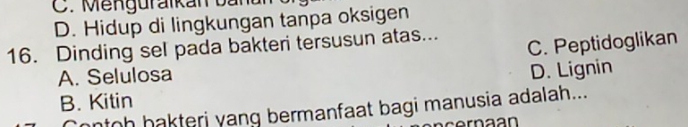 C. Menguraikan bản
D. Hidup di lingkungan tanpa oksigen
16. Dinding sel pada bakteri tersusun atas...
C. Peptidoglikan
A. Selulosa
D. Lignin
B. Kitin
ntoh hakteri yang bermanfaat bagi manusia adalah...
rn a an