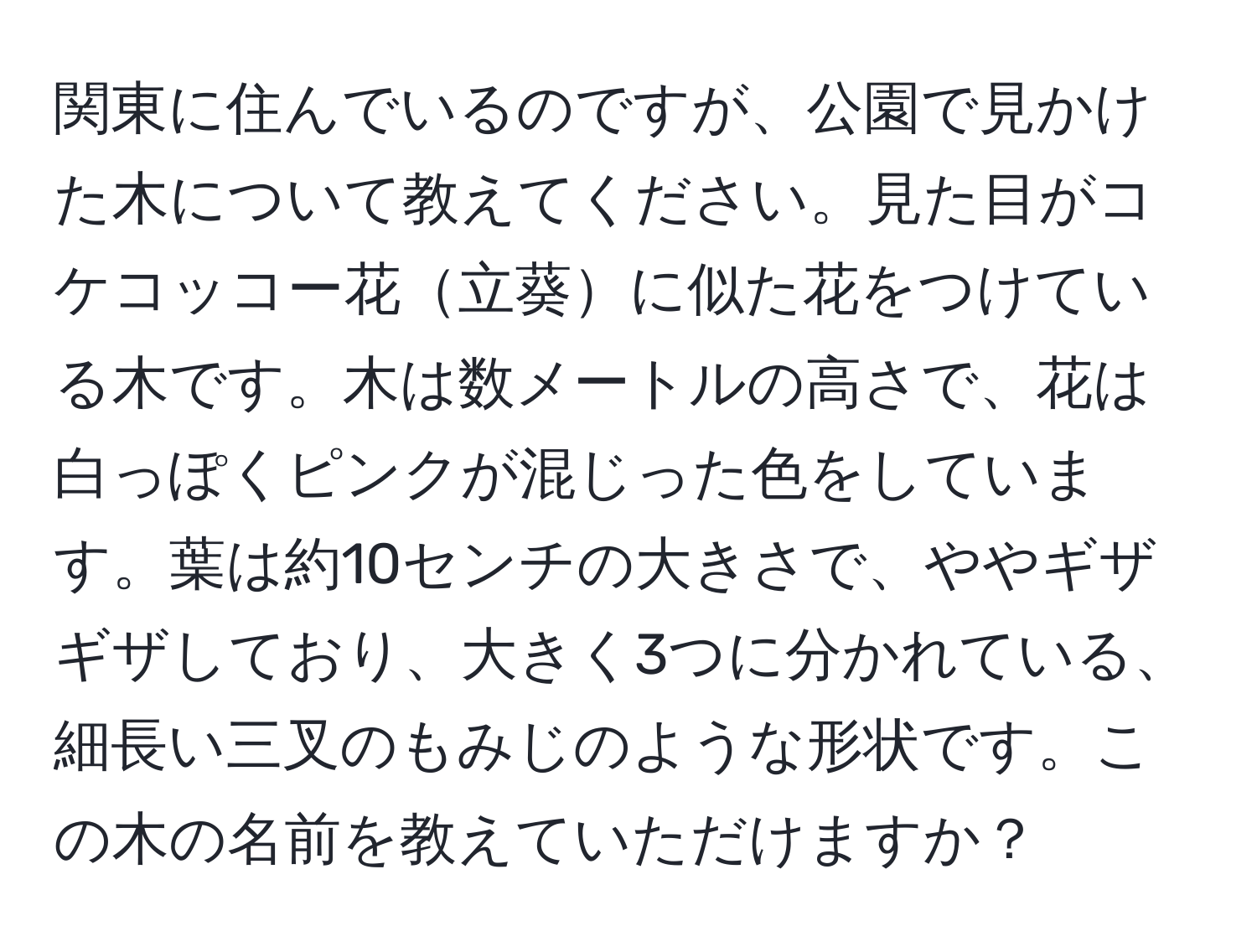 関東に住んでいるのですが、公園で見かけた木について教えてください。見た目がコケコッコー花立葵に似た花をつけている木です。木は数メートルの高さで、花は白っぽくピンクが混じった色をしています。葉は約10センチの大きさで、ややギザギザしており、大きく3つに分かれている、細長い三叉のもみじのような形状です。この木の名前を教えていただけますか？