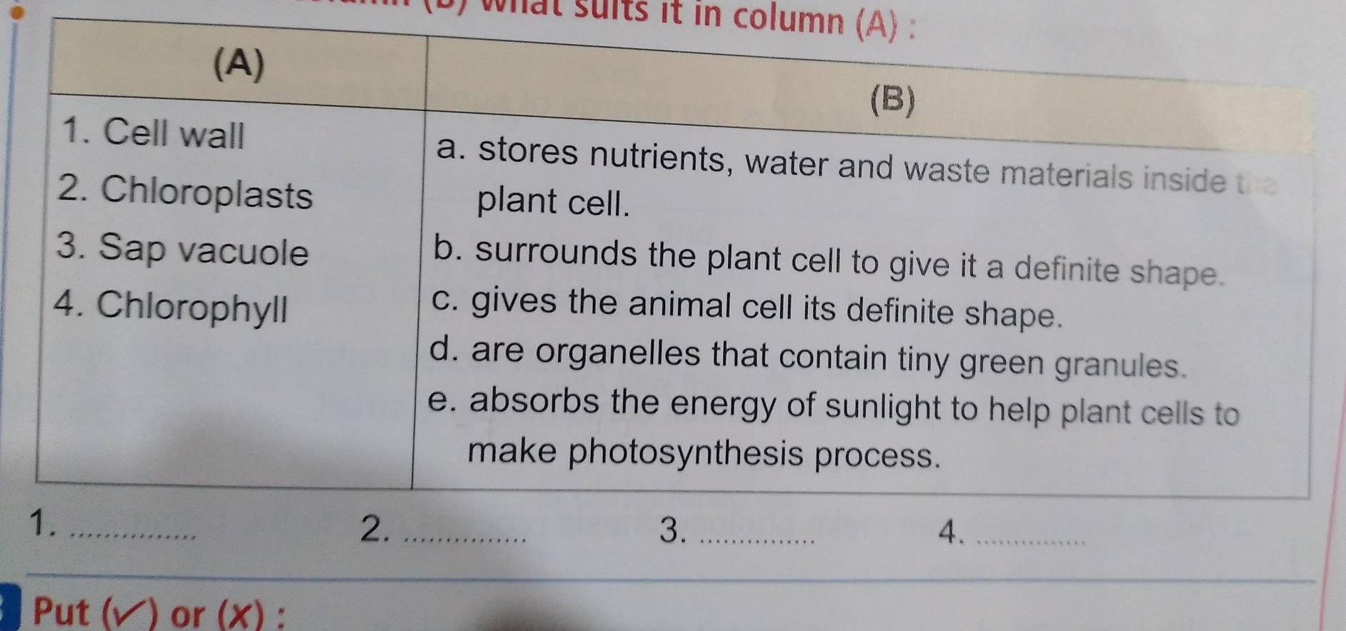 ) what suits it in column (A) : 
Put (√) or (X) :