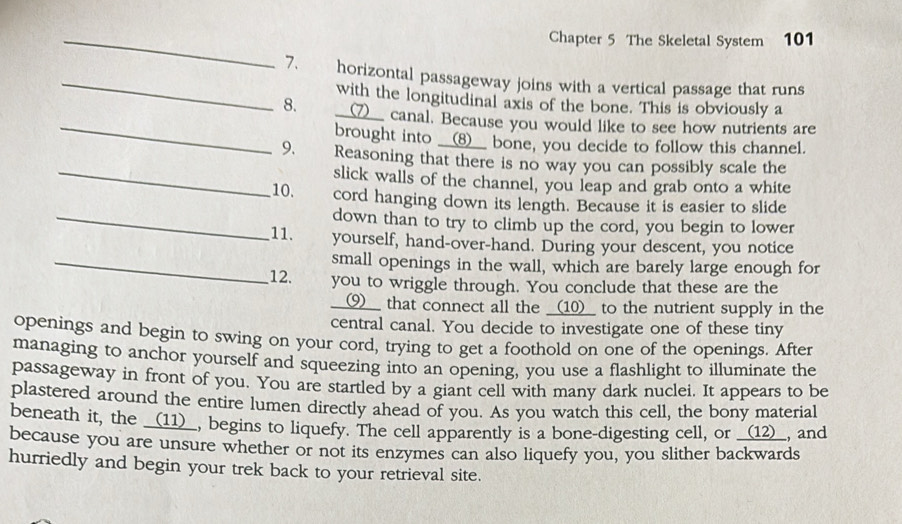 Chapter 5 The Skeletal System 101 
_7. horizontal passageway joins with a vertical passage that runs 
_ 
with the longitudinal axis of the bone. This is obviously a 
8. __(⑦__ canal. Because you would like to see how nutrients are 
brought into __8__ bone, you decide to follow this channel. 
9、 Reasoning that there is no way you can possibly scale the 
_slick walls of the channel, you leap and grab onto a white 
10. cord hanging down its length. Because it is easier to slide 
_down than to try to climb up the cord, you begin to lower 
11. yourself, hand-over-hand. During your descent, you notice 
_small openings in the wall, which are barely large enough for 
12. you to wriggle through. You conclude that these are the 
__9__ that connect all the __(10)__ to the nutrient supply in the 
central canal. You decide to investigate one of these tiny 
openings and begin to swing on your cord, trying to get a foothold on one of the openings. After 
managing to anchor yourself and squeezing into an opening, you use a flashlight to illuminate the 
passageway in front of you. You are startled by a giant cell with many dark nuclei. It appears to be 
plastered around the entire lumen directly ahead of you. As you watch this cell, the bony material 
beneath it, the __(11)__, begins to liquefy. The cell apparently is a bone-digesting cell, or __(12)__, and 
because you are unsure whether or not its enzymes can also liquefy you, you slither backwards 
hurriedly and begin your trek back to your retrieval site.