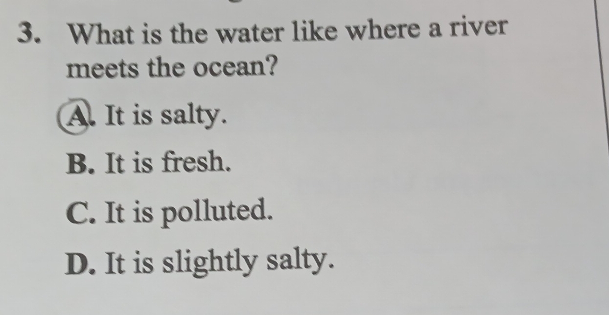 What is the water like where a river
meets the ocean?
A. It is salty.
B. It is fresh.
C. It is polluted.
D. It is slightly salty.