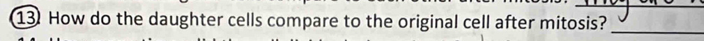 How do the daughter cells compare to the original cell after mitosis?_