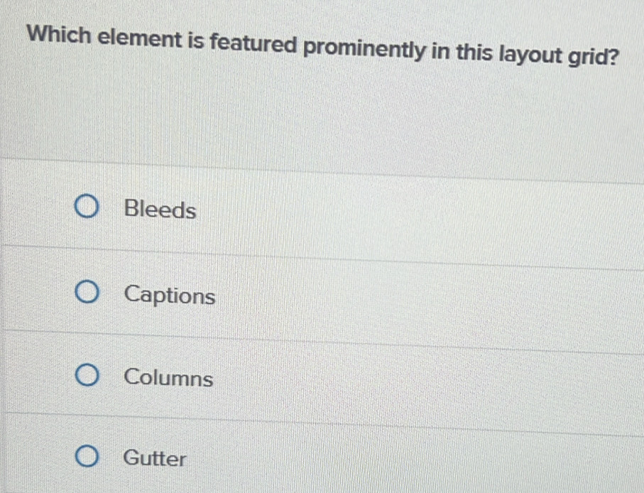 Which element is featured prominently in this layout grid?
Bleeds
Captions
Columns
Gutter