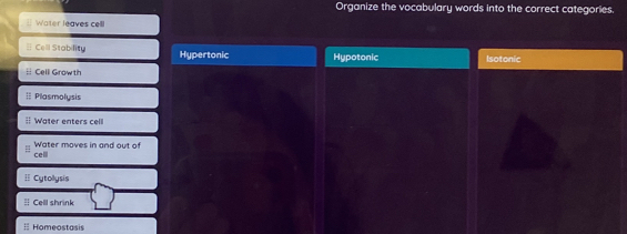 Organize the vocabulary words into the correct categories.
Water leaves celll
# Cell Stability Hypertonic Hypotonic Isotonic
: Cell Grow th
≡: Plasmolysis
:: Wäter enters cel
cel Water moves in and out of
=: Cytollysis
≡ Cell shrink
:: Homeostasis