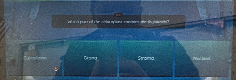 Which part of the chloroplast contains the thylakaids?
Cytoplasm Grana Stroma Nucleus