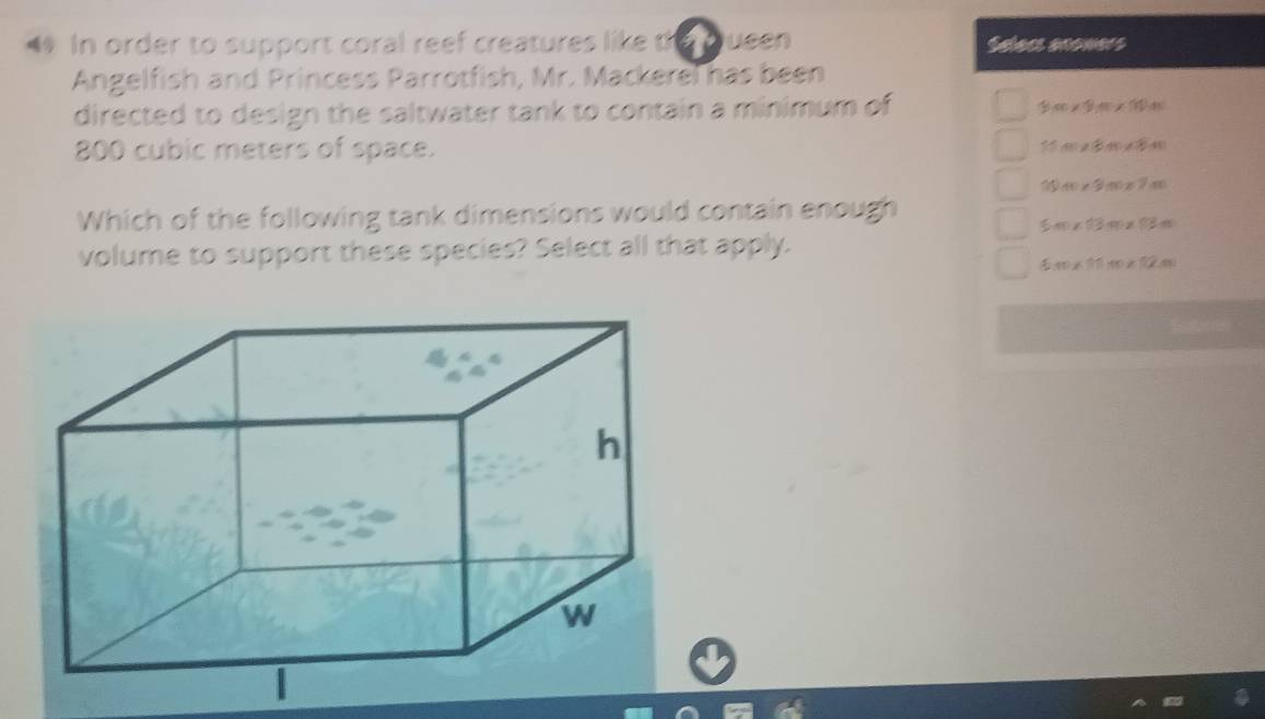 In order to support coral reef creatures like th lueen Selecs anomers 
Angelfish and Princess Parrotfish, Mr. Mackerel has been 
directed to design the saltwater tank to contain a minimum of 
4 * 8m* 111m
800 cubic meters of space.
m* 8.40* 8.40
11)m* 3m* 7m
Which of the following tank dimensions would contain enough
6m* 13m* 98m
volume to support these species? Select all that apply.
5.40* 11.π * 12m