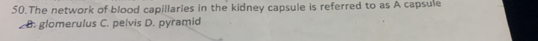 The network of blood capillaries in the kidney capsule is referred to as A capsule
B. glomerulus C. pelvis D. pyramid