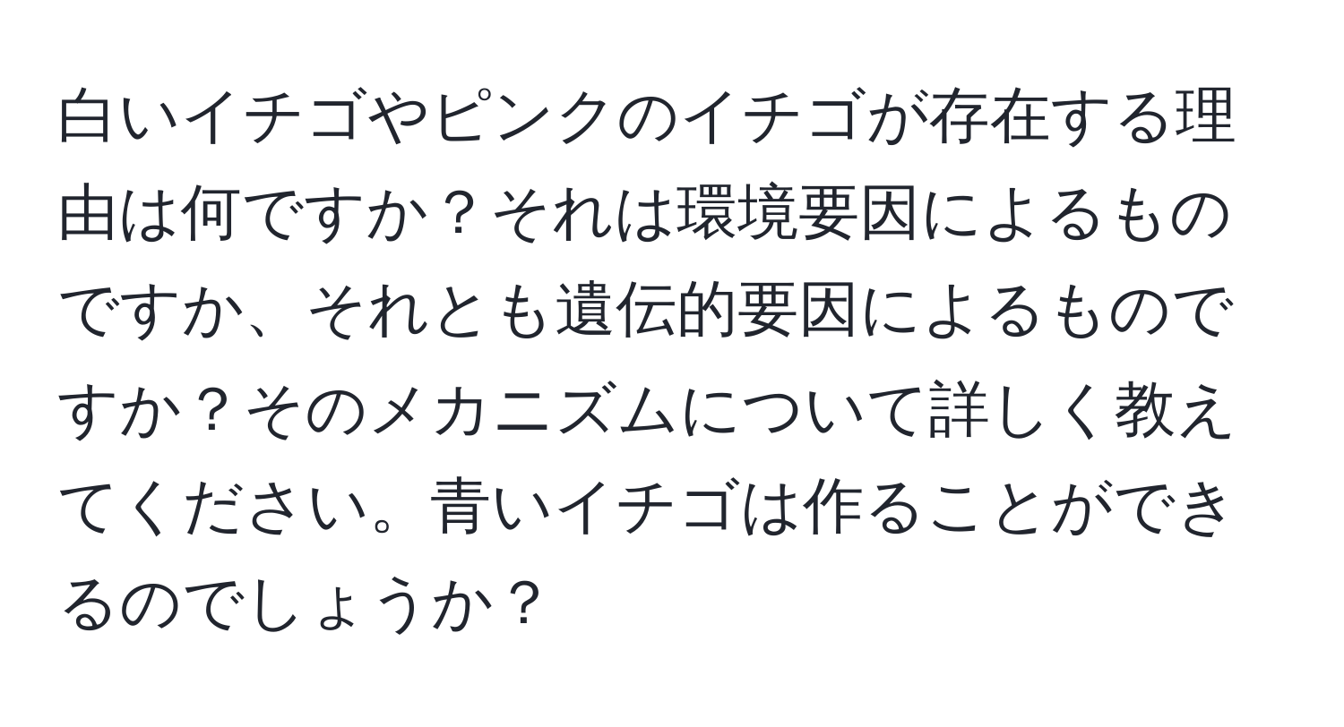 白いイチゴやピンクのイチゴが存在する理由は何ですか？それは環境要因によるものですか、それとも遺伝的要因によるものですか？そのメカニズムについて詳しく教えてください。青いイチゴは作ることができるのでしょうか？