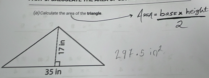 Calculate the area of the triangle.