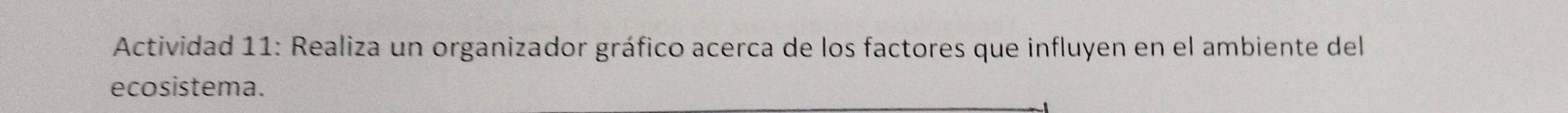 Actividad 11: Realiza un organizador gráfico acerca de los factores que influyen en el ambiente del 
ecosistema.